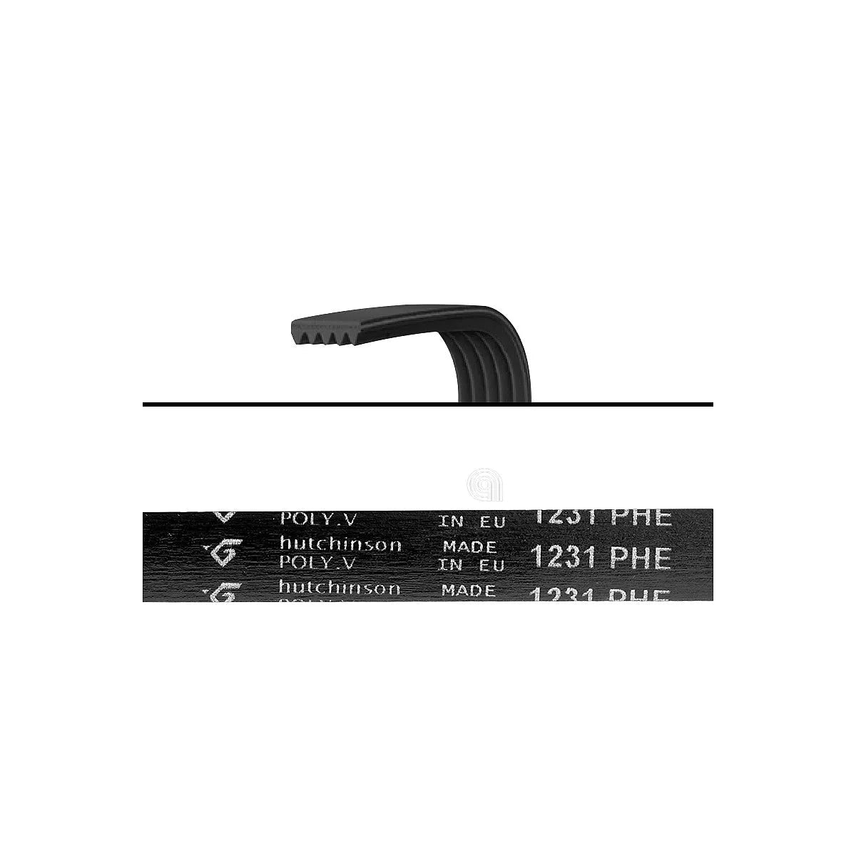 Curea EL pentru mașina de spălat Candy – cod 1231H8 / 41003164, 1 / 3