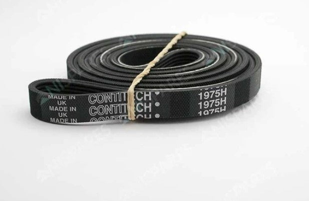Curea poly-v – cod 1975H7, 3 / 3