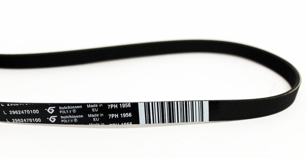 Curea uscător rufe 7PH 1956 Beko – cod 2962470100 (original), 3 / 3