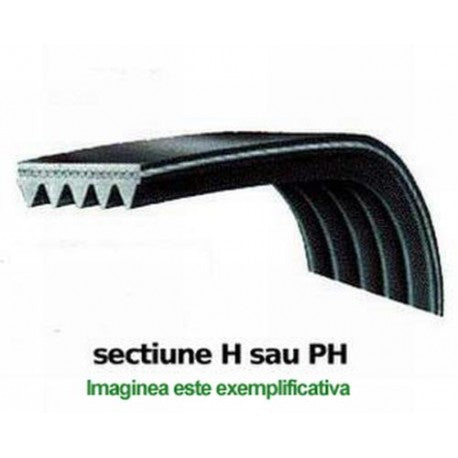 1221H7 El curea poly-v, 3 / 3